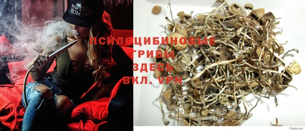 шишки Алексеевка