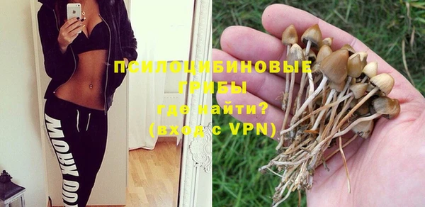 шишки Алексеевка